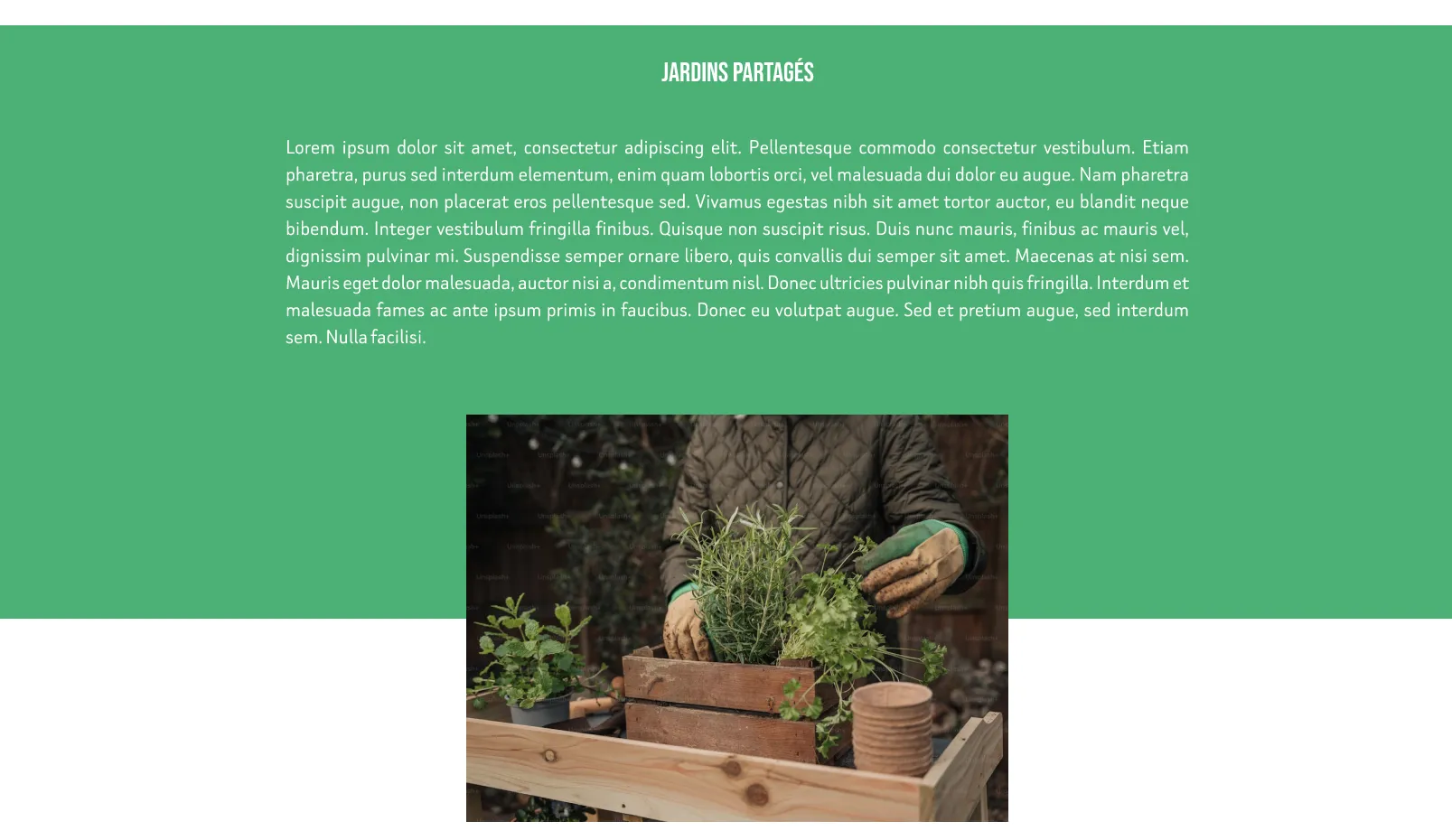 Page projets du nouveau site